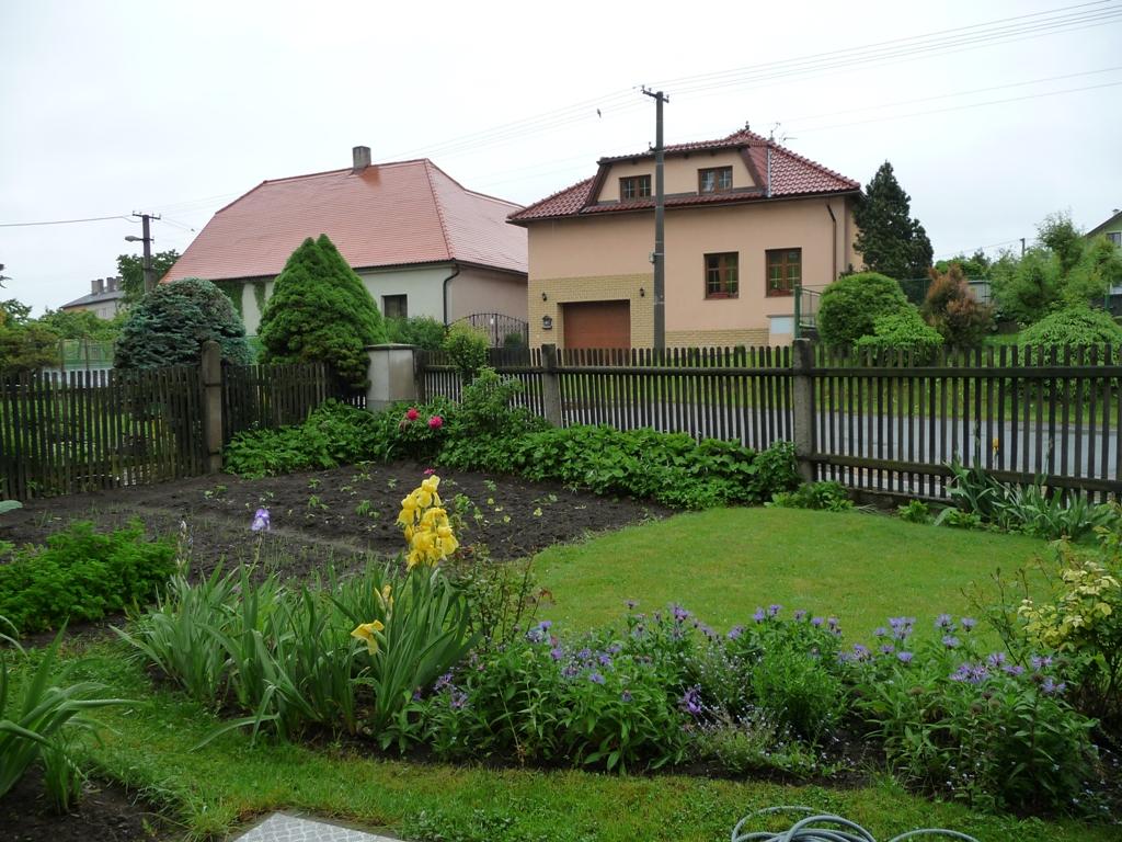 Třibřichy